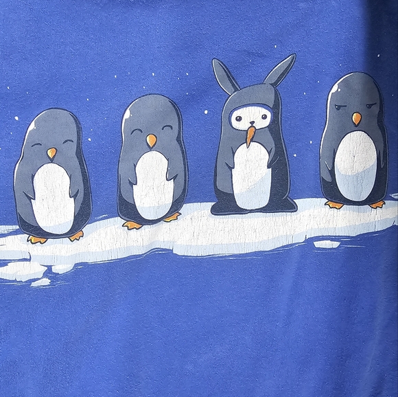 Meet your Posher, Maddie - Picture 1 of 1